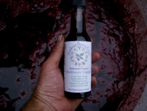 hoskins blackberry vinegar