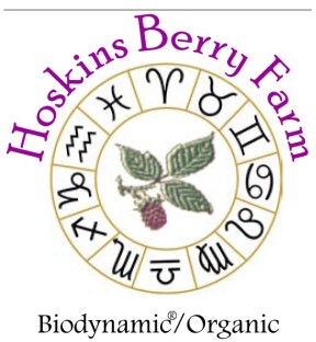 Hoskins Berry Farm Living Organic Black Berry Vinegar Demeter Certified Biodynamic